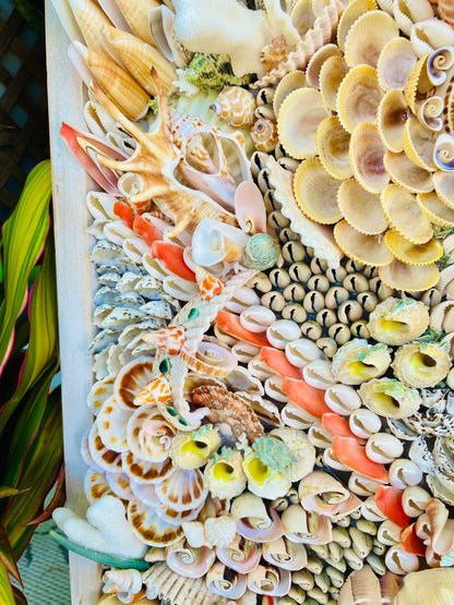 Handmade Abstract Sea Shell Coastal Wall Art 36x12" Natural Textured Seashells Urchins Coral Beach House Décor Lime Green, Orange & White