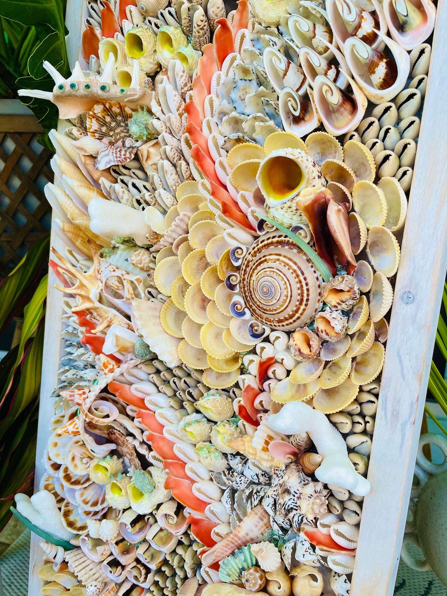 Handmade Abstract Sea Shell Coastal Wall Art 36x12" Natural Textured Seashells Urchins Coral Beach House Décor Lime Green, Orange & White