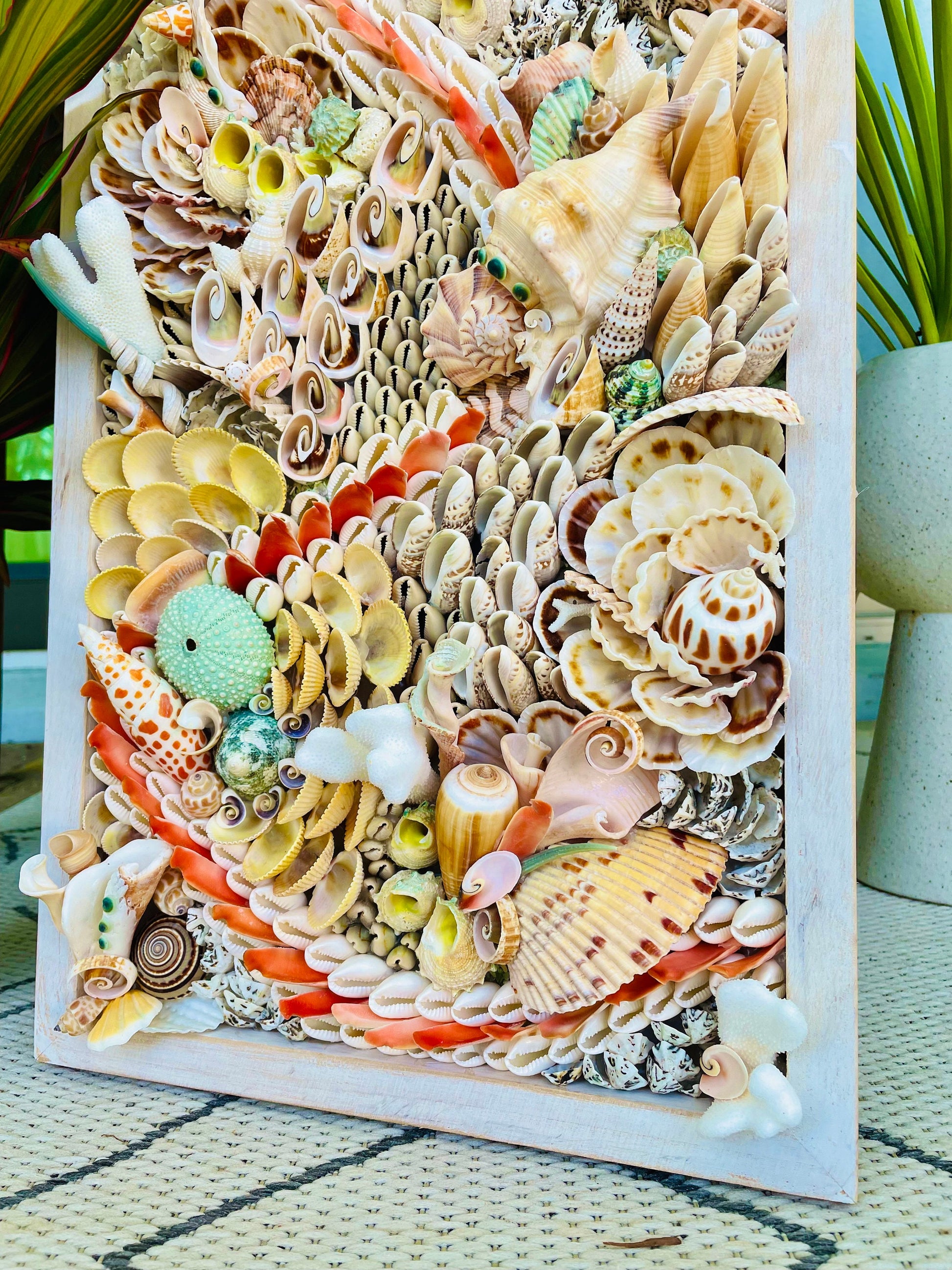 Handmade Abstract Sea Shell Coastal Wall Art 36x12" Natural Textured Seashells Urchins Coral Beach House Décor Lime Green, Orange & White
