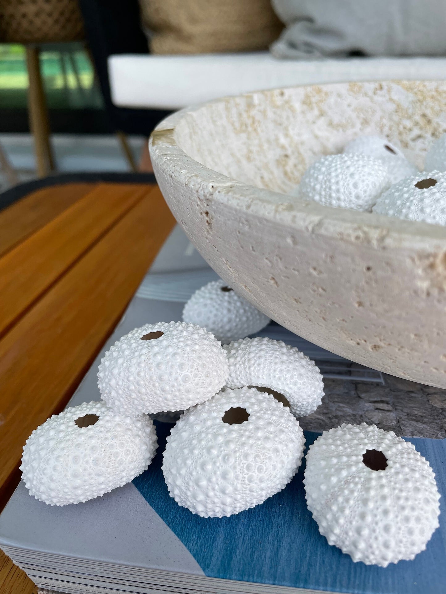 Matte WHITE Sea Urchin Shells Beach Crafts Coastal Cottage Nautical Décor Air Plant Holders Wedding Favors Hand Painted