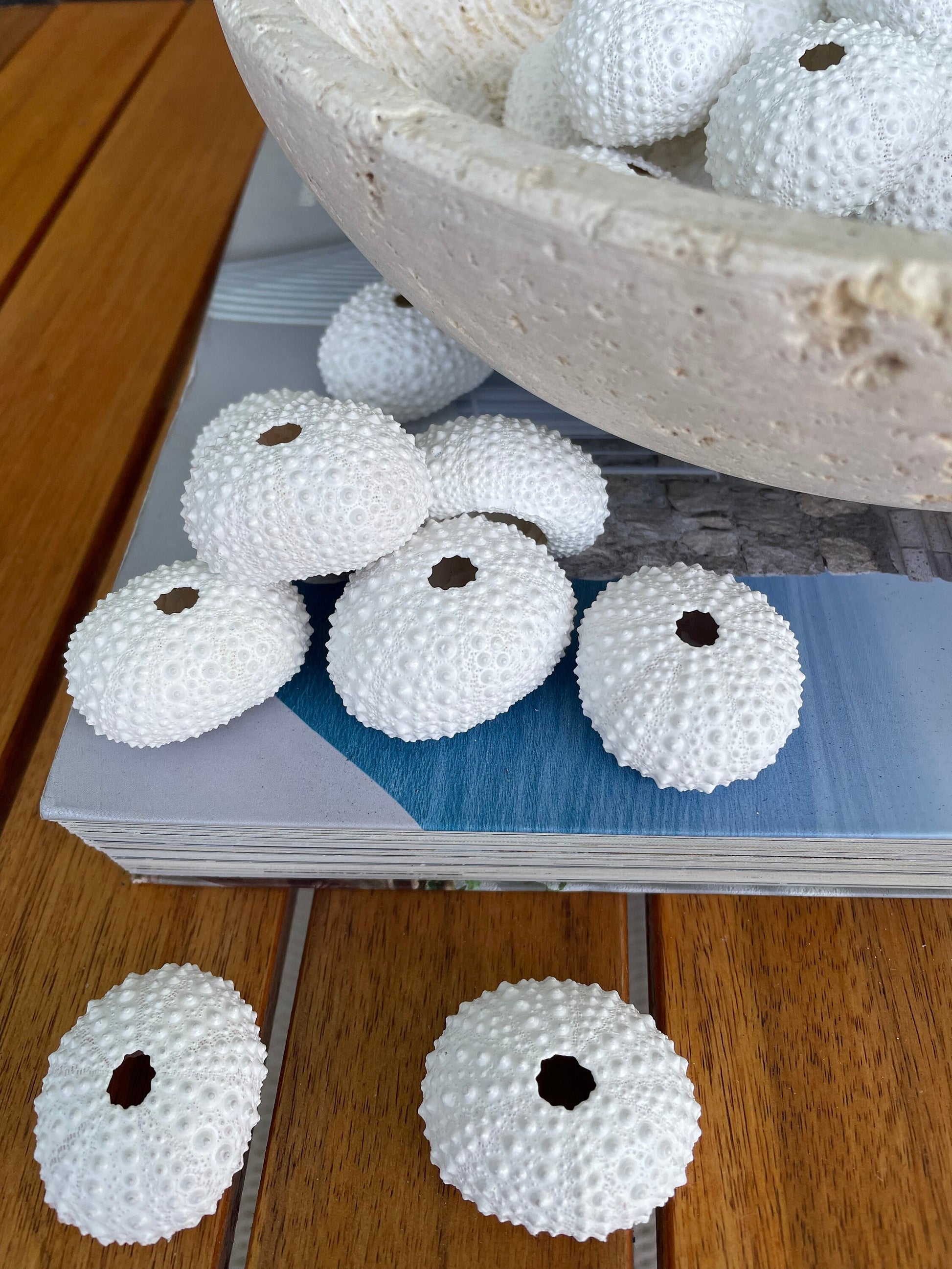 Matte WHITE Sea Urchin Shells Beach Crafts Coastal Cottage Nautical Décor Air Plant Holders Wedding Favors Hand Painted