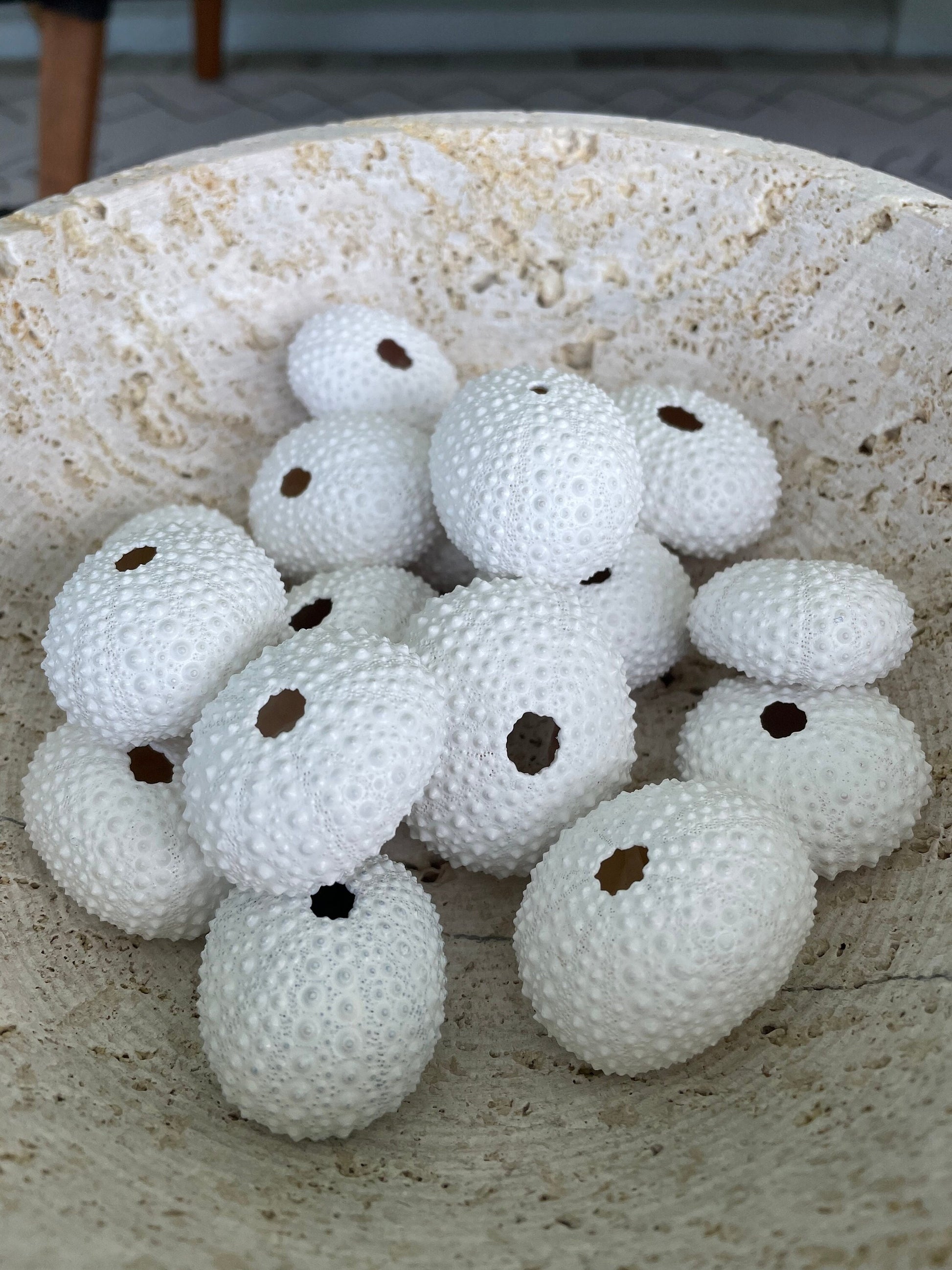 Matte White Sea Urchin Shells 1-2", *You Choose Quantity* Beachy Coastal Décor