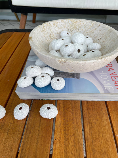Matte WHITE Sea Urchin Shells Beach Crafts Coastal Cottage Nautical Décor Air Plant Holders Wedding Favors Hand Painted