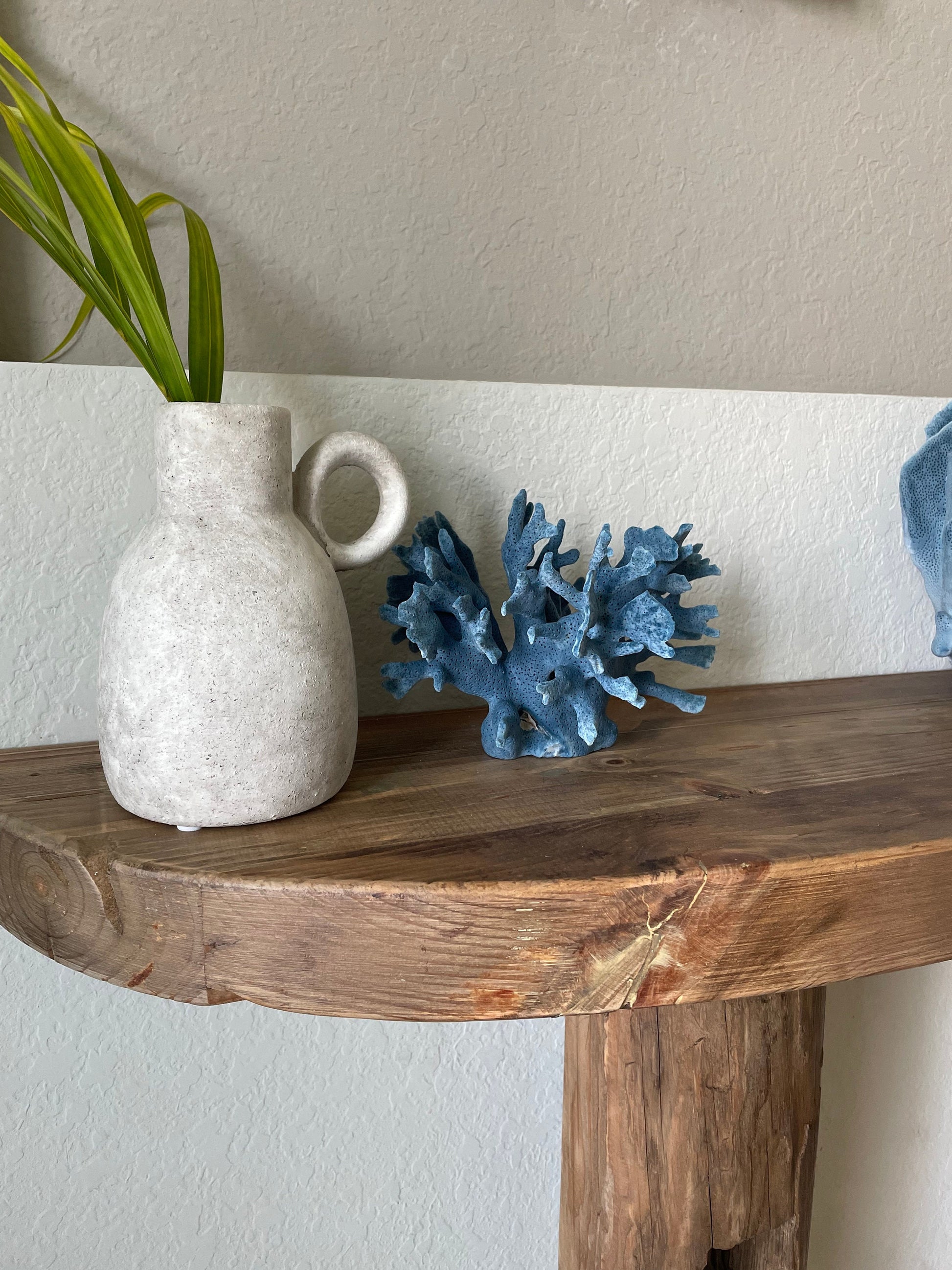 Premium Grade Genuine Sea BLUE RIDGE CORAL All Sizes Real Ocean Reef Aquarium Coastal Beach Ocean Décor Nautical