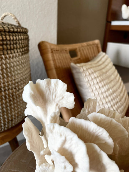 Genuine Sea White CACTUS CORAL 100% Natural Ocean Reef Aquarium Coastal Beach Ocean Décor Nautical Flat cut bottom