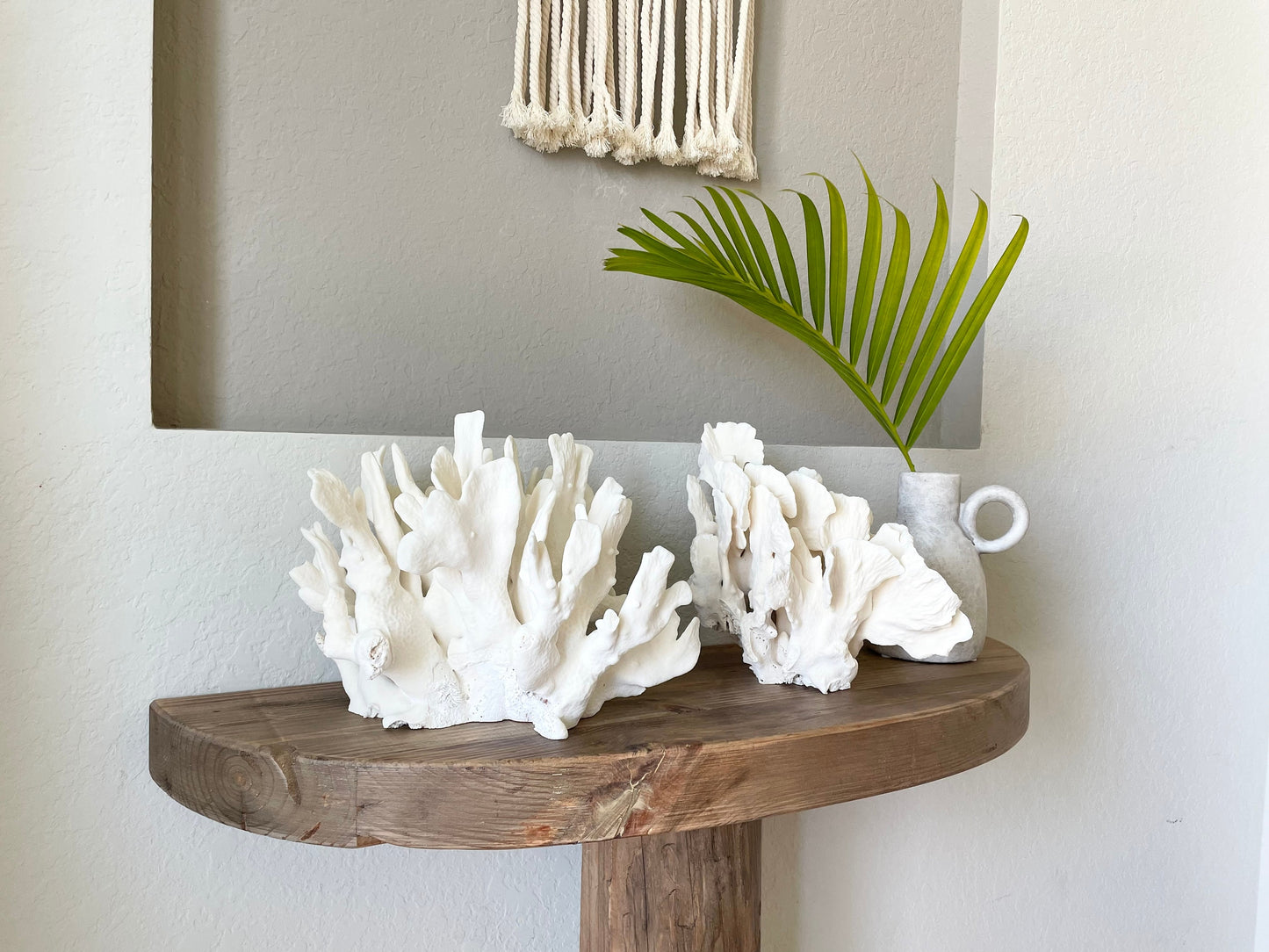 Genuine Sea White CACTUS CORAL 100% Natural Ocean Reef Aquarium Coastal Beach Ocean Décor Nautical Flat cut bottom