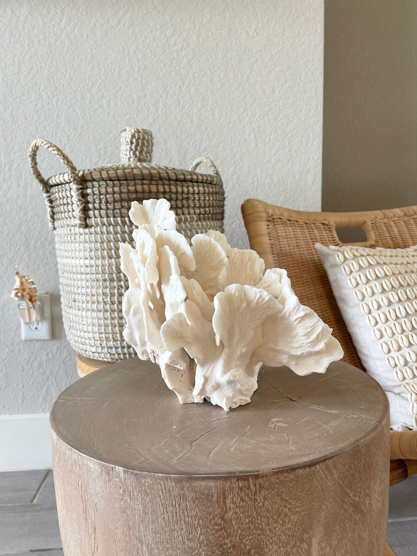 Genuine Sea White CACTUS CORAL 100% Natural Ocean Reef Aquarium Coastal Beach Ocean Décor Nautical Flat cut bottom