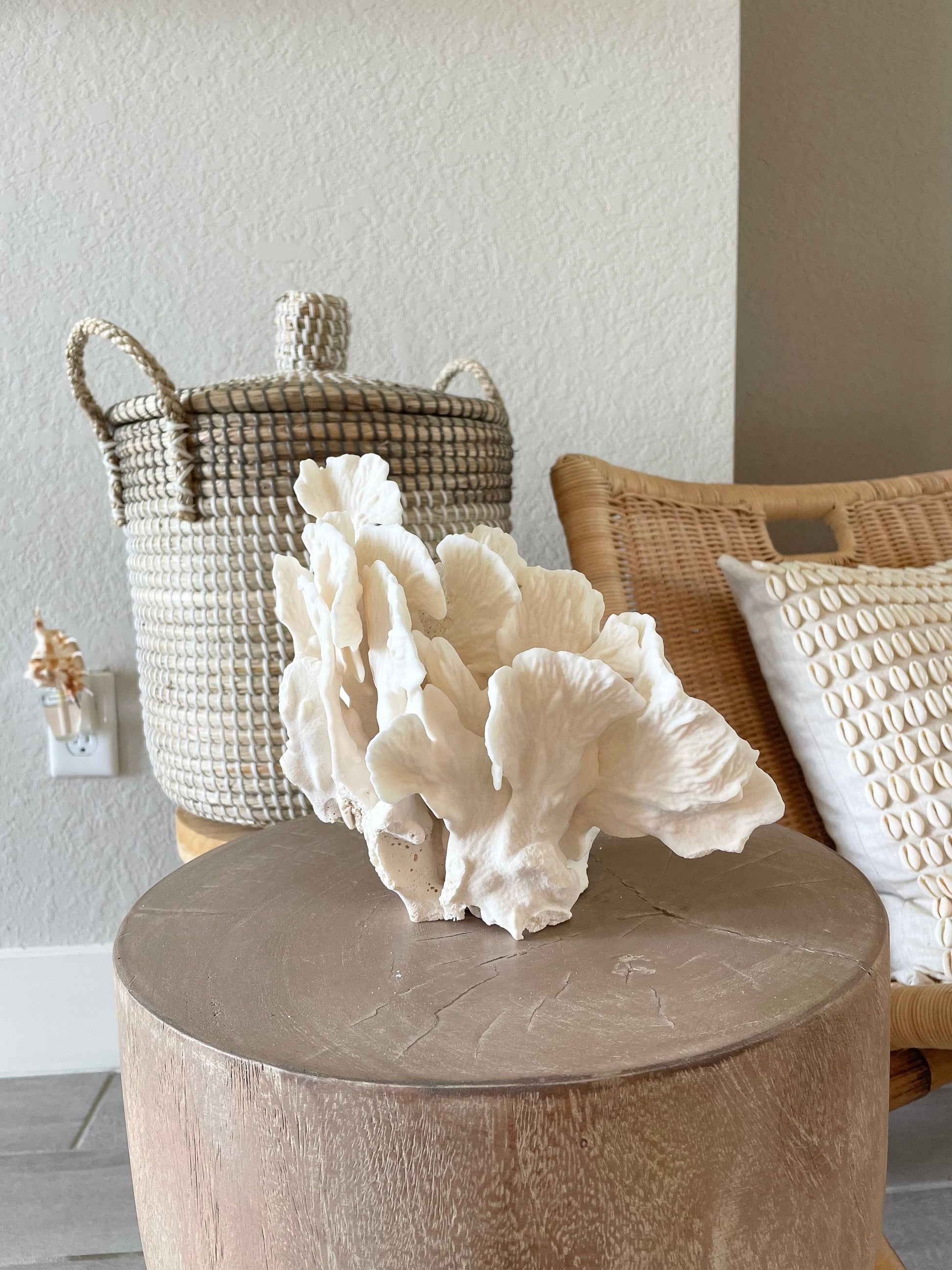 Genuine Sea White CACTUS CORAL 100% Natural Ocean Reef Aquarium Coastal Beach Ocean Décor Nautical Flat cut bottom