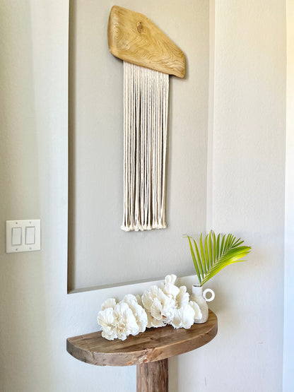 POCA CORAL *All Sizes* Authentic Natural Real Sea Fossil White Coastal Décor