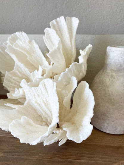 Genuine Sea POCA CORAL All Sizes 100% Real Ocean Reef Aquarium Coastal Beach White Natural Décor Nautical Wedding Gift