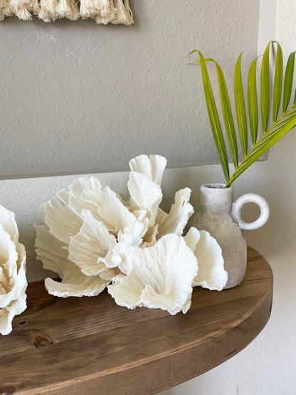 POCA CORAL *All Sizes* Authentic Natural Real Sea Fossil White Coastal Décor