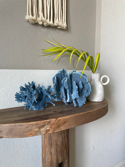 Premium Grade Genuine Sea BLUE RIDGE CORAL All Sizes Real Ocean Reef Aquarium Coastal Beach Ocean Décor Nautical