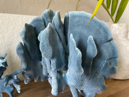 Premium Grade Genuine Sea BLUE RIDGE CORAL All Sizes Real Ocean Reef Aquarium Coastal Beach Ocean Décor Nautical