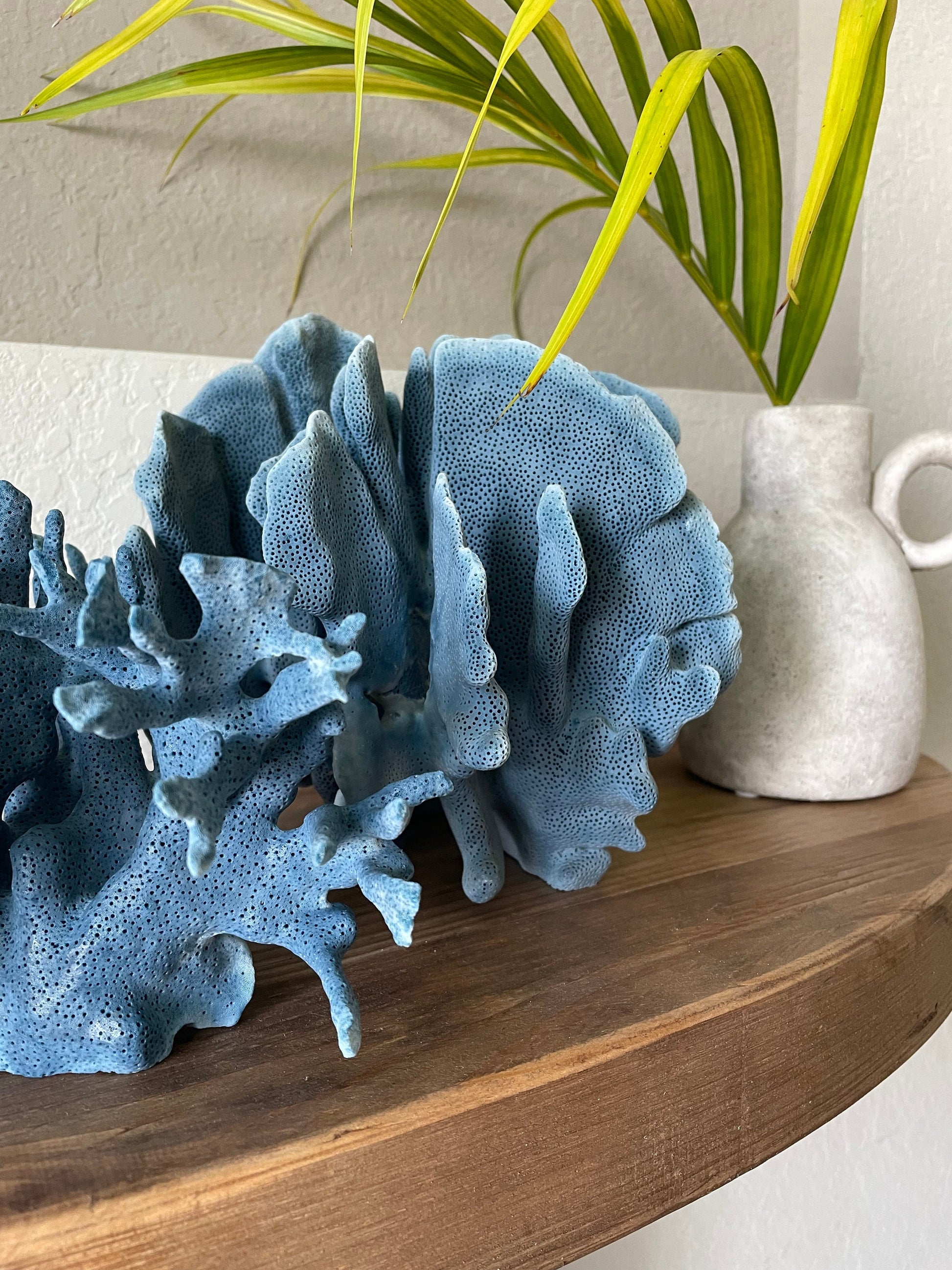 Premium Grade Genuine Sea BLUE RIDGE CORAL All Sizes Real Ocean Reef Aquarium Coastal Beach Ocean Décor Nautical