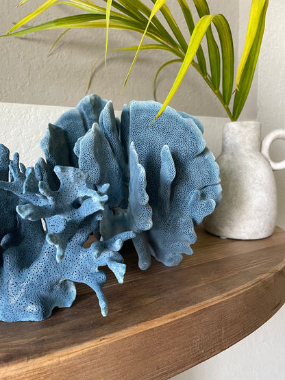Premium Grade Genuine Sea BLUE RIDGE CORAL All Sizes Real Ocean Reef Aquarium Coastal Beach Ocean Décor Nautical