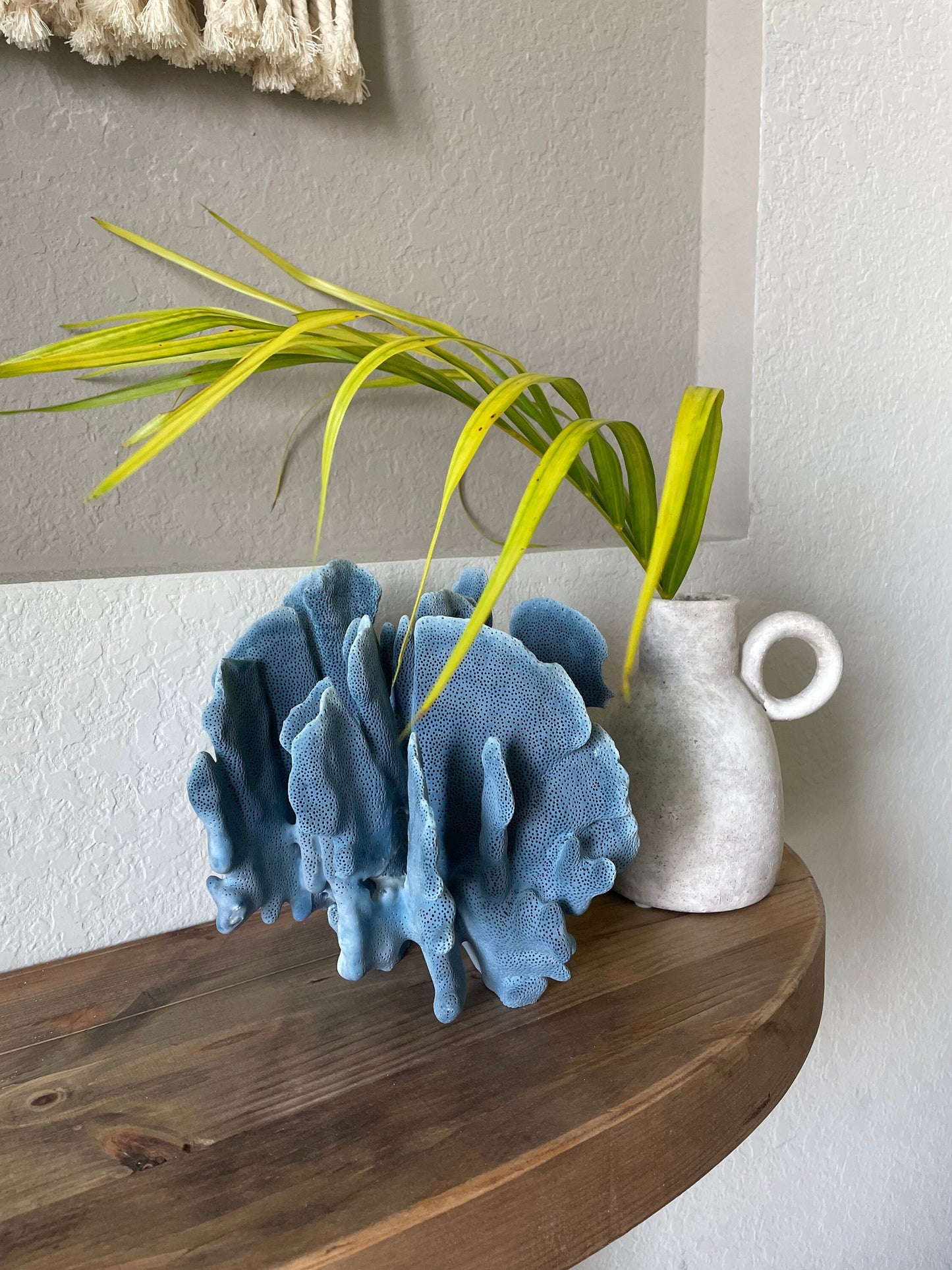 Premium Grade Genuine Sea BLUE RIDGE CORAL All Sizes Real Ocean Reef Aquarium Coastal Beach Ocean Décor Nautical