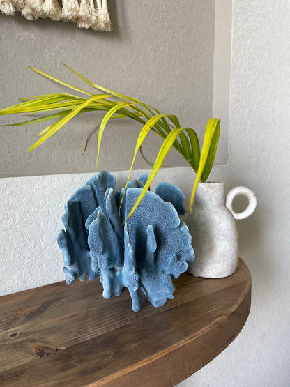 Premium Grade Genuine Sea BLUE RIDGE CORAL All Sizes Real Ocean Reef Aquarium Coastal Beach Ocean Décor Nautical