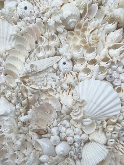 Handmade Modern Coastal Wall Art Natural Textured House Décor Seashells Urchins Coral 16", 24", 30" Square Beach White Sanibel Florida