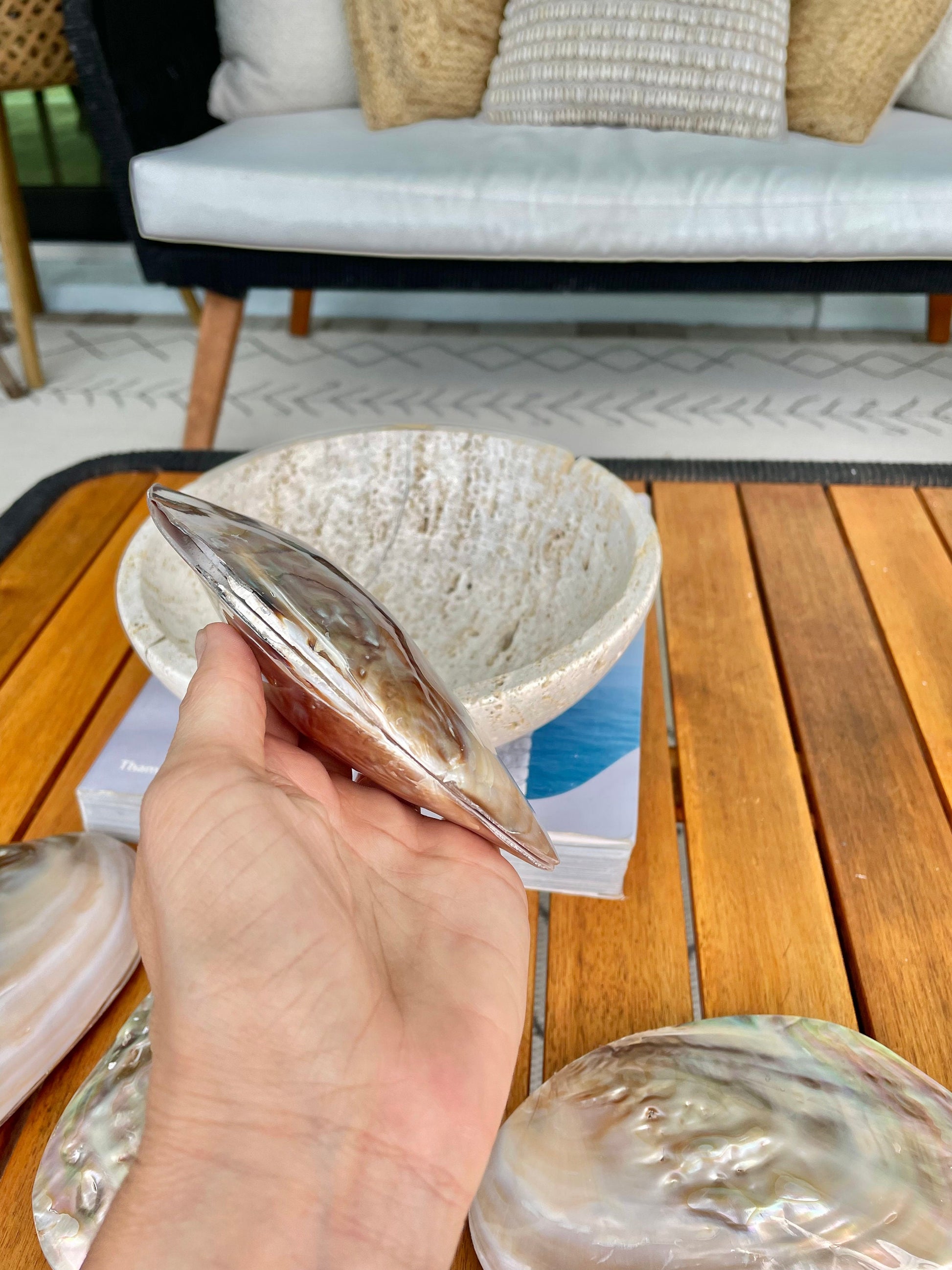 FULL MUSSEL SHELL Pair *All Sizes* Mother of Pearl Irredescent Display Seashell Large Clam Beach Coastal Décor