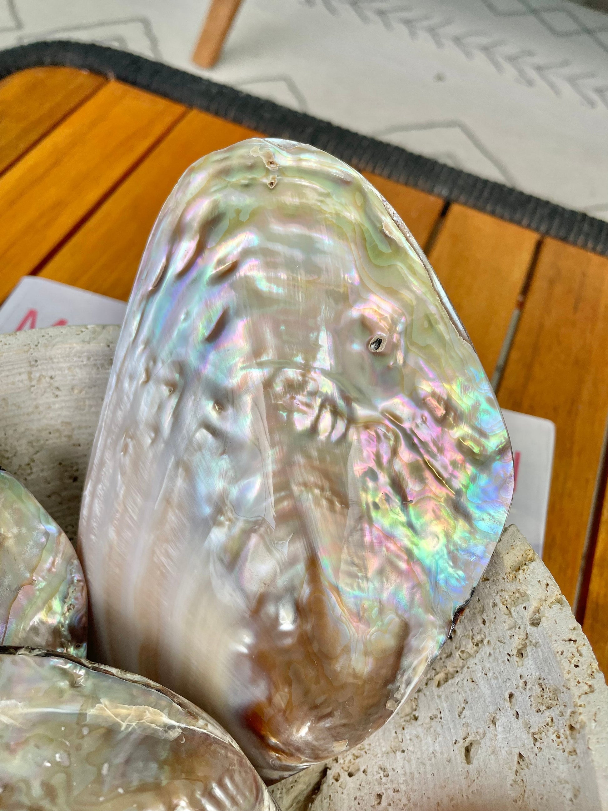 FULL MUSSEL SHELL Pair *All Sizes* Mother of Pearl Irredescent Display Seashell Large Clam Beach Coastal Décor