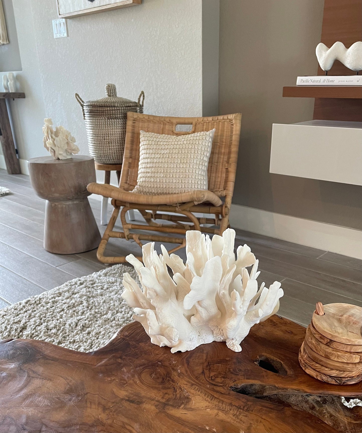 Genuine Sea White CACTUS CORAL 100% Natural Ocean Reef Aquarium Coastal Beach Ocean Décor Nautical Flat cut bottom