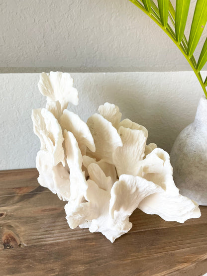 Genuine Sea White CACTUS CORAL 100% Natural Ocean Reef Aquarium Coastal Beach Ocean Décor Nautical Flat cut bottom