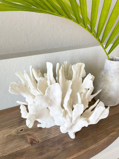 Genuine Sea White CACTUS CORAL 100% Natural Ocean Reef Aquarium Coastal Beach Ocean Décor Nautical Flat cut bottom