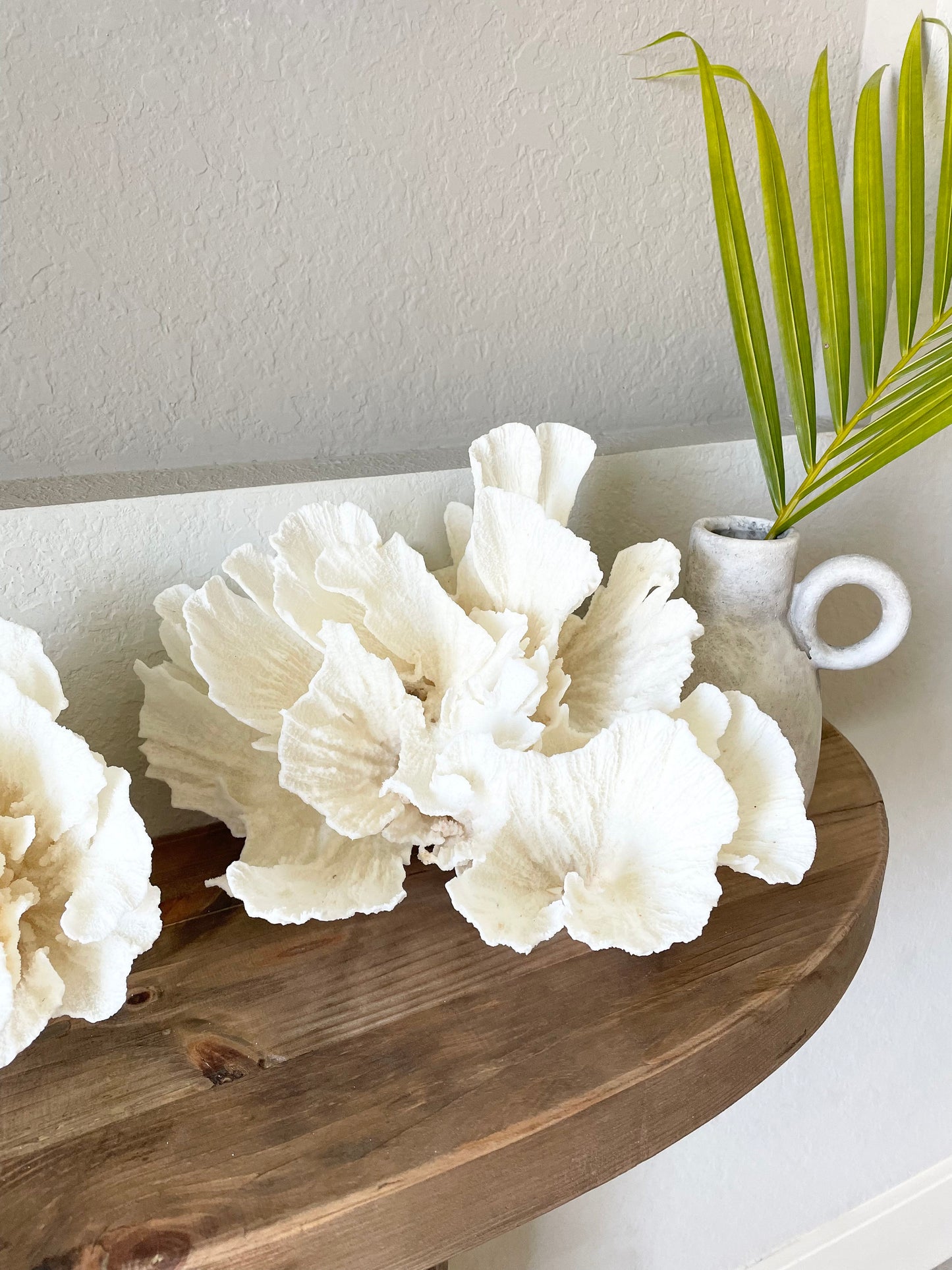Genuine Sea POCA CORAL All Sizes 100% Real Ocean Reef Aquarium Coastal Beach White Natural Décor Nautical Wedding Gift