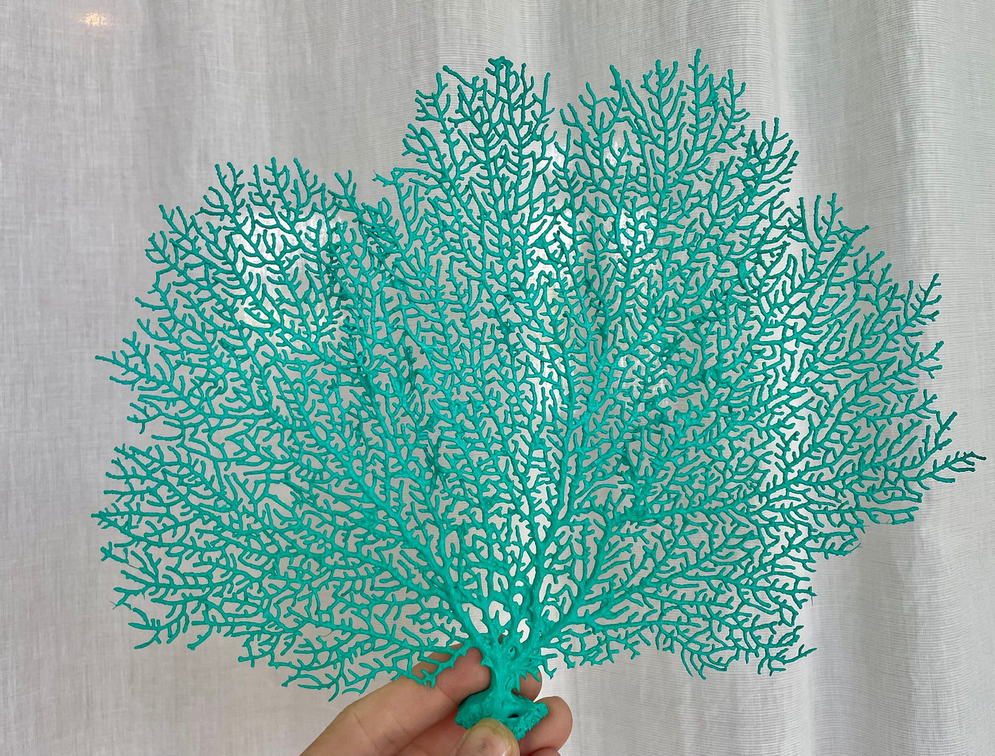 Natural Dried Real Sea Fans Painted AQUA 8-20" You Choose Size Ocean Reef Decoration Natural Beach Coastal Décor Display