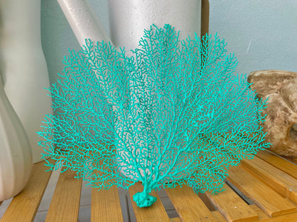 Natural Dried Real Sea Fans Painted AQUA 8-20" You Choose Size Ocean Reef Decoration Natural Beach Coastal Décor Display