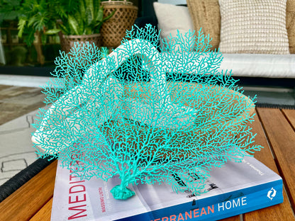 Natural Dried Real Sea Fans Painted AQUA 8-20" You Choose Size Ocean Reef Decoration Natural Beach Coastal Décor Display