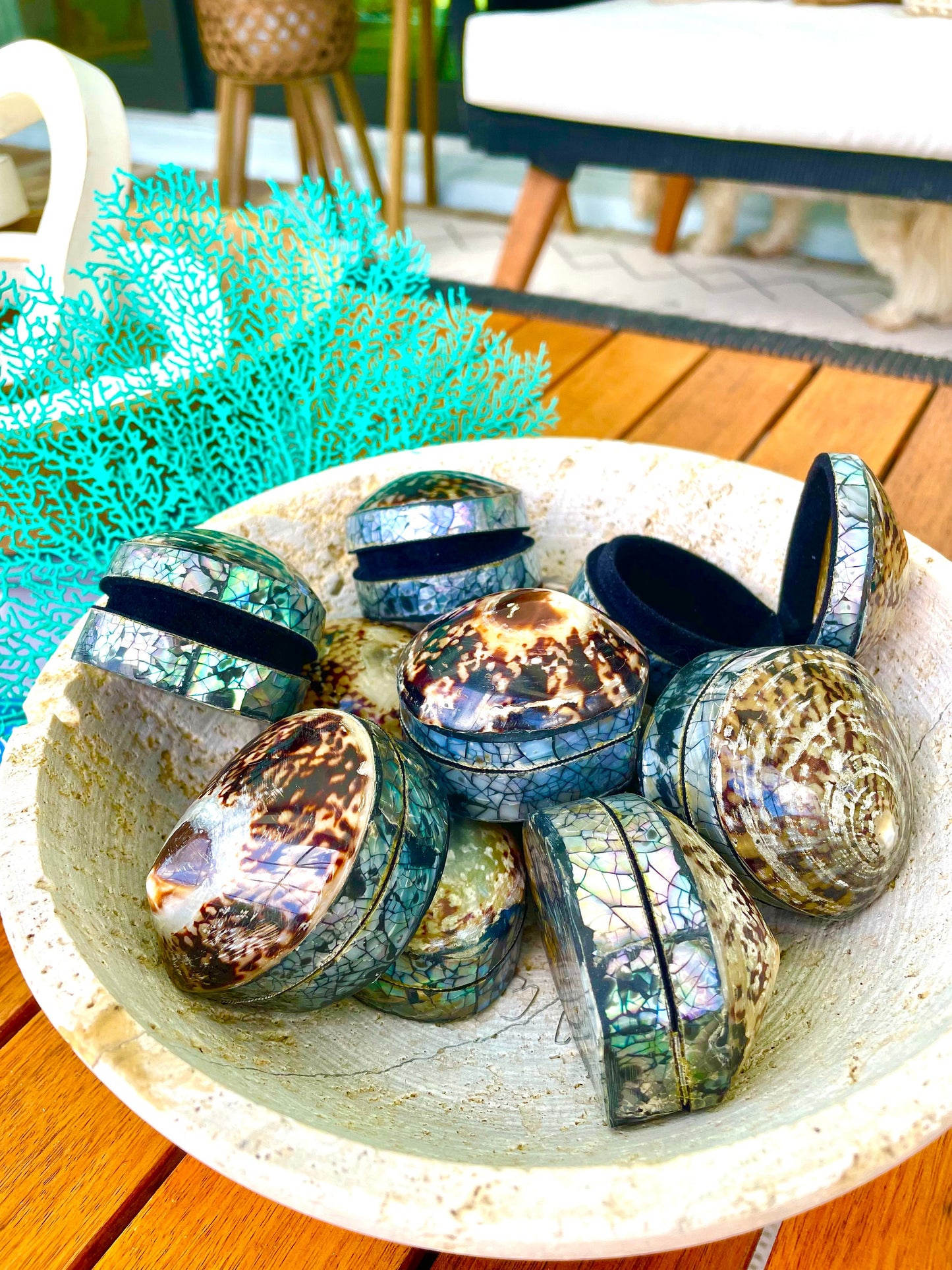 Natural Dried Real Sea Fans Painted AQUA 8-20" You Choose Size Ocean Reef Decoration Natural Beach Coastal Décor Display