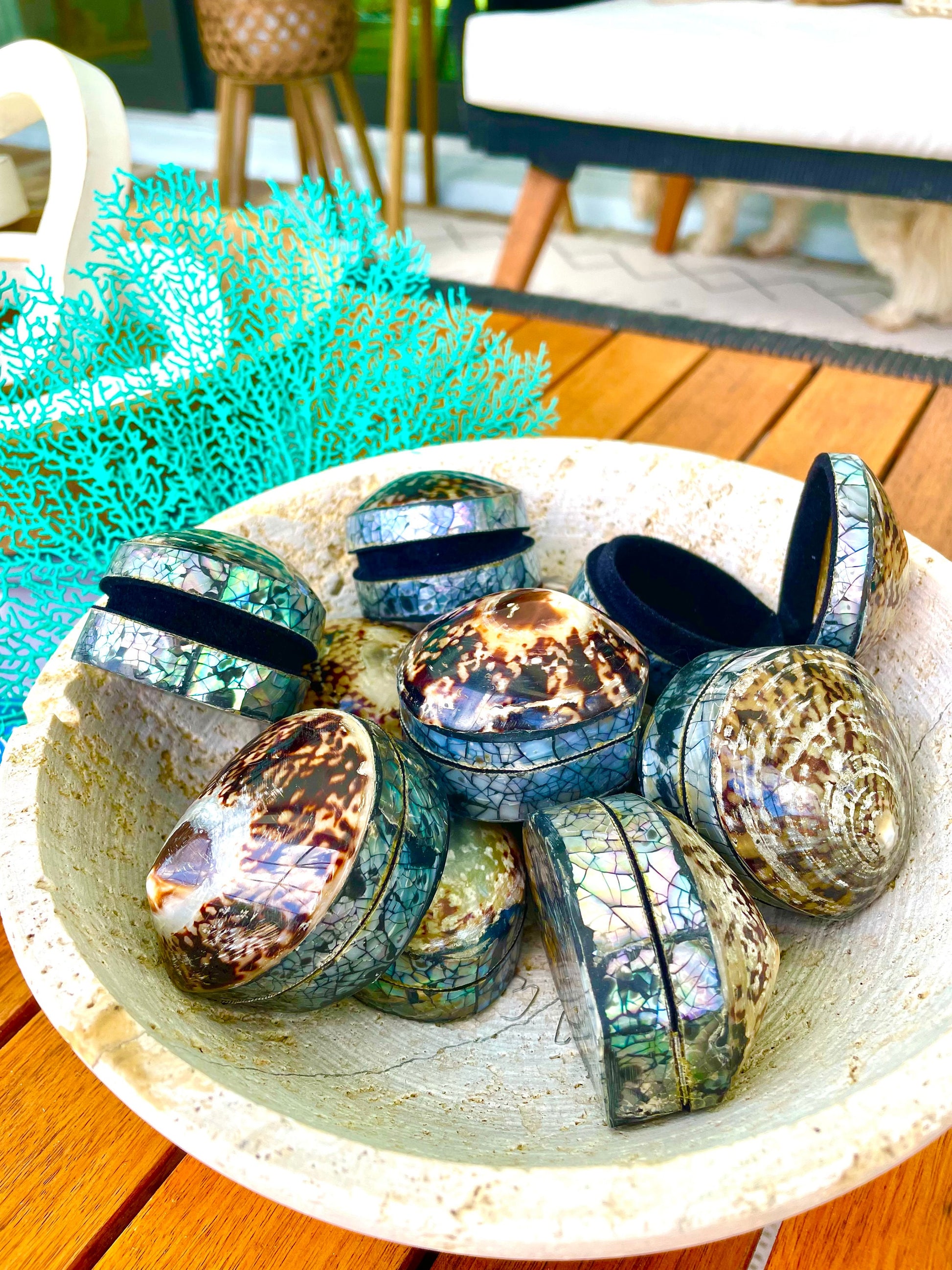 Natural Dried Real Sea Fans Painted AQUA 8-20" You Choose Size Ocean Reef Decoration Natural Beach Coastal Décor Display