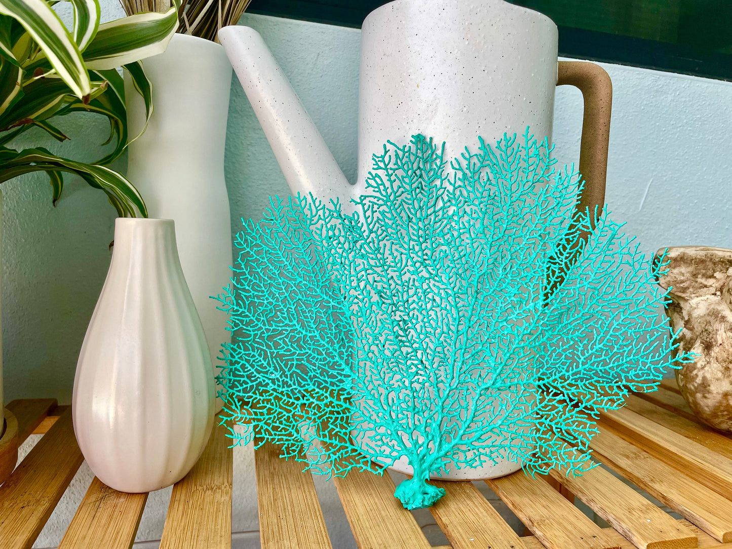 Natural Dried Real Sea Fans Painted AQUA 8-20" You Choose Size Ocean Reef Decoration Natural Beach Coastal Décor Display