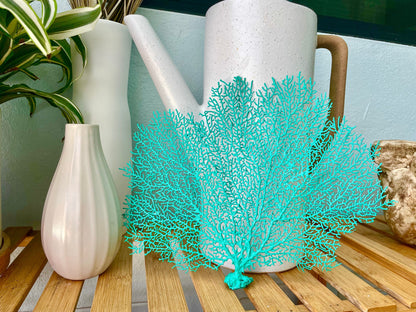 Aqua Sea Fan (8-20") *You Choose Size* Natural Hand Painted Coastal Décor