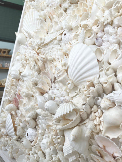 White Seashell Wall Art, Coastal Home Decor, Natural Coral & Urchin Collage