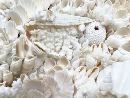 Handmade Modern Coastal Wall Art Natural Textured House Décor Seashells Urchins Coral 16", 24", 30" Square Beach White Sanibel Florida