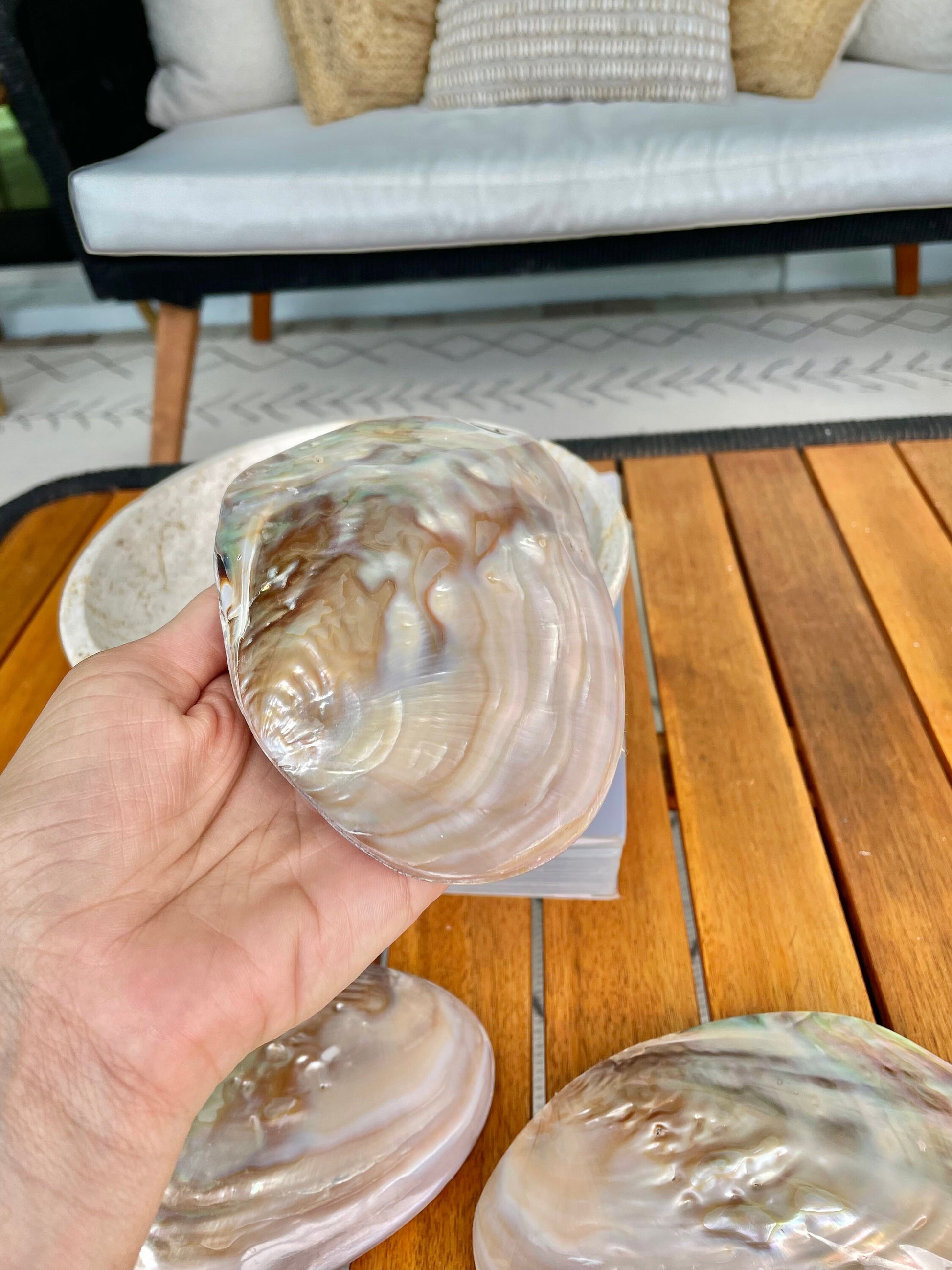 FULL MUSSEL SHELL Pair *All Sizes* Mother of Pearl Irredescent Display Seashell Large Clam Beach Coastal Décor