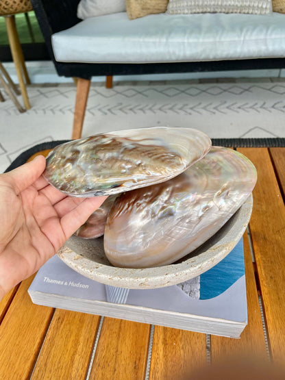 FULL MUSSEL SHELL Pair *All Sizes* Mother of Pearl Irredescent Display Seashell Large Clam Beach Coastal Décor