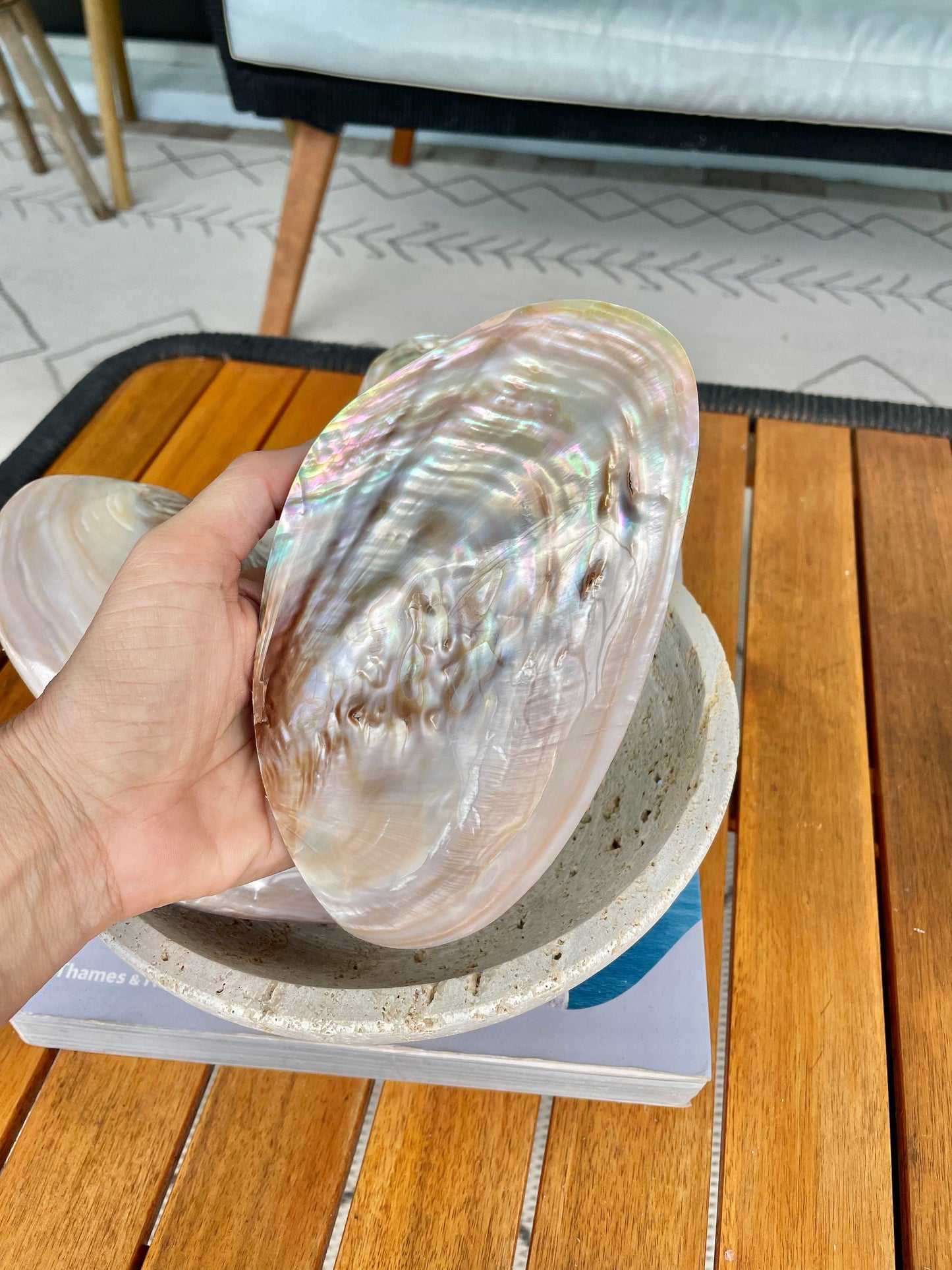 FULL MUSSEL SHELL Pair *All Sizes* Mother of Pearl Irredescent Display Seashell Large Clam Beach Coastal Décor