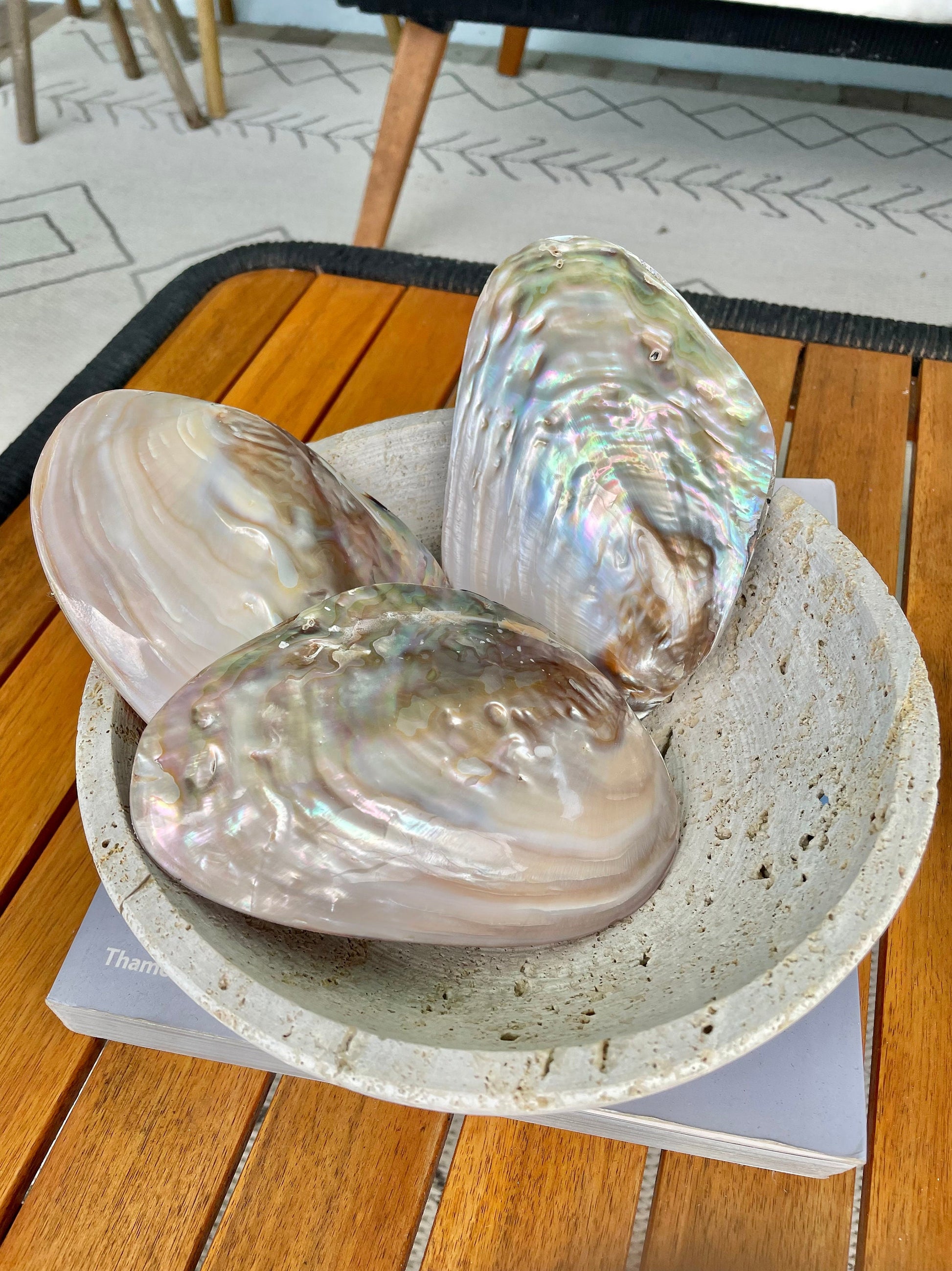 FULL MUSSEL SHELL Pair *All Sizes* Mother of Pearl Irredescent Display Seashell Large Clam Beach Coastal Décor