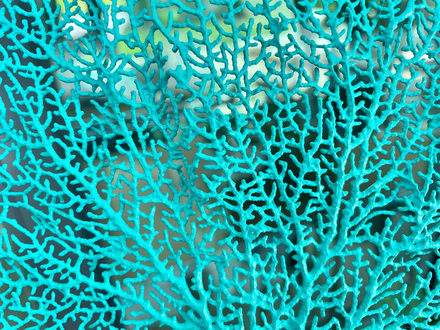 Natural Dried Real Sea Fans Painted AQUA 8-20" You Choose Size Ocean Reef Decoration Natural Beach Coastal Décor Display