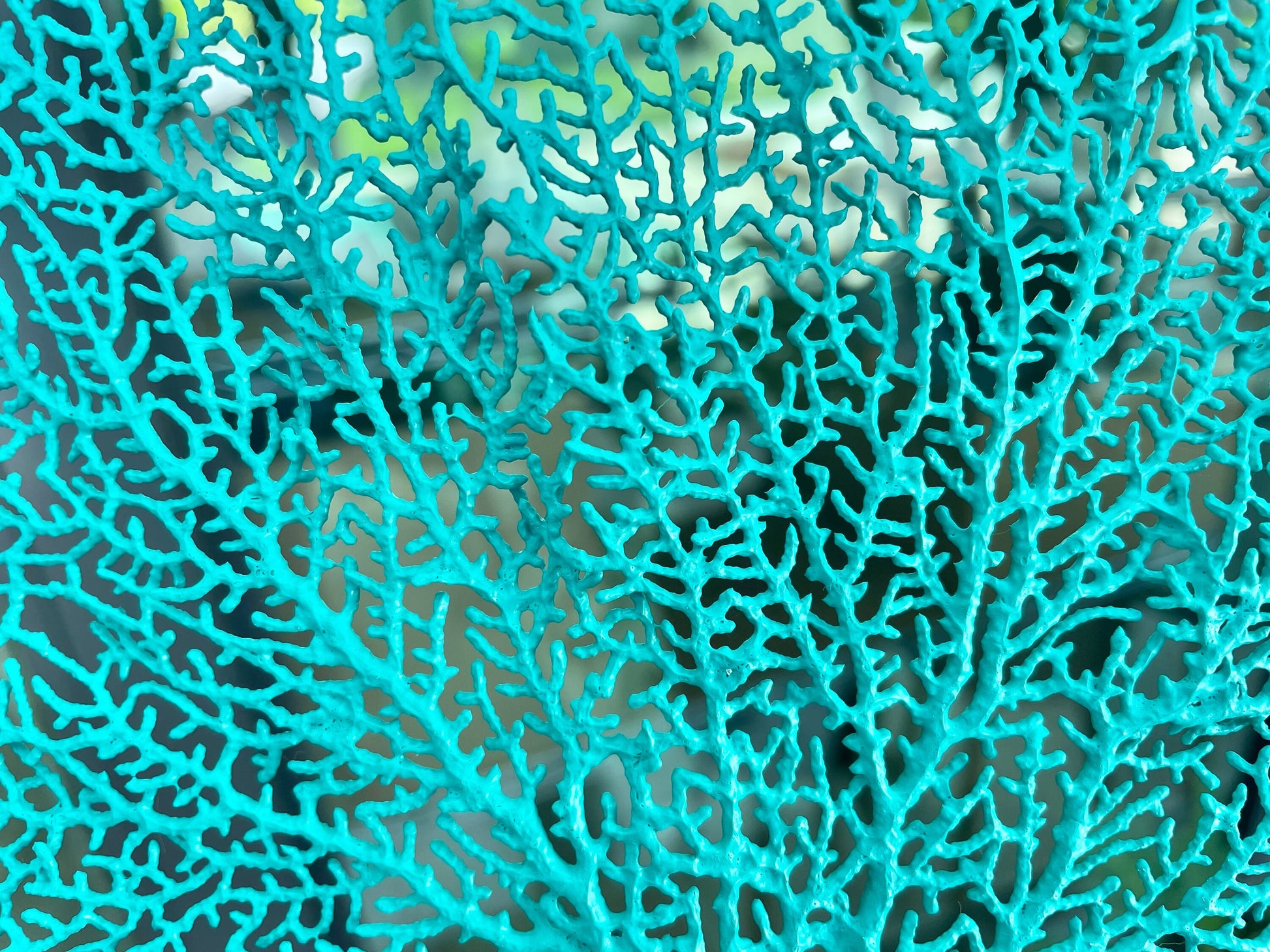 Natural Dried Real Sea Fans Painted AQUA 8-20" You Choose Size Ocean Reef Decoration Natural Beach Coastal Décor Display