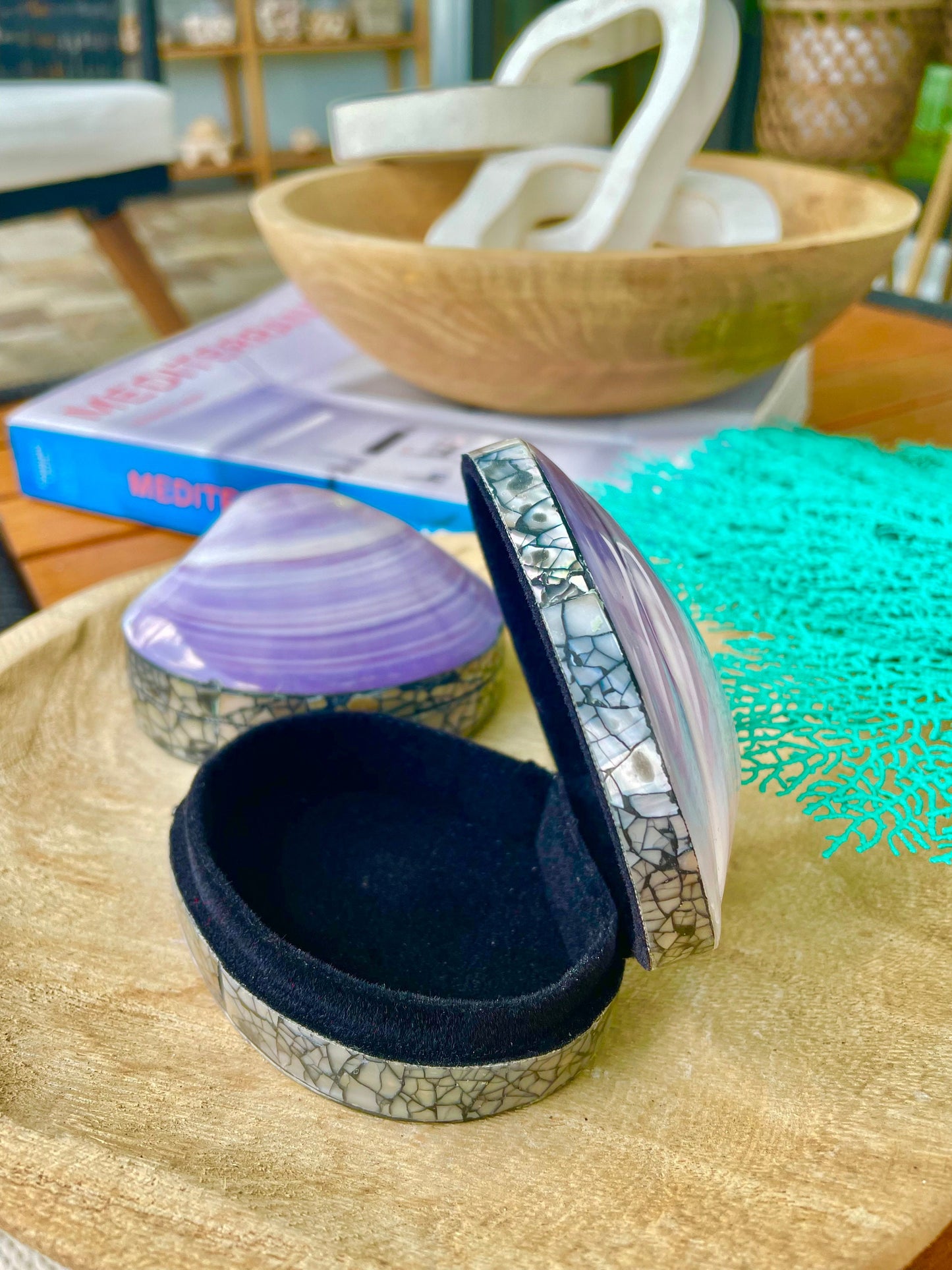 Natural Dried Real Sea Fans Painted AQUA 8-20" You Choose Size Ocean Reef Decoration Natural Beach Coastal Décor Display