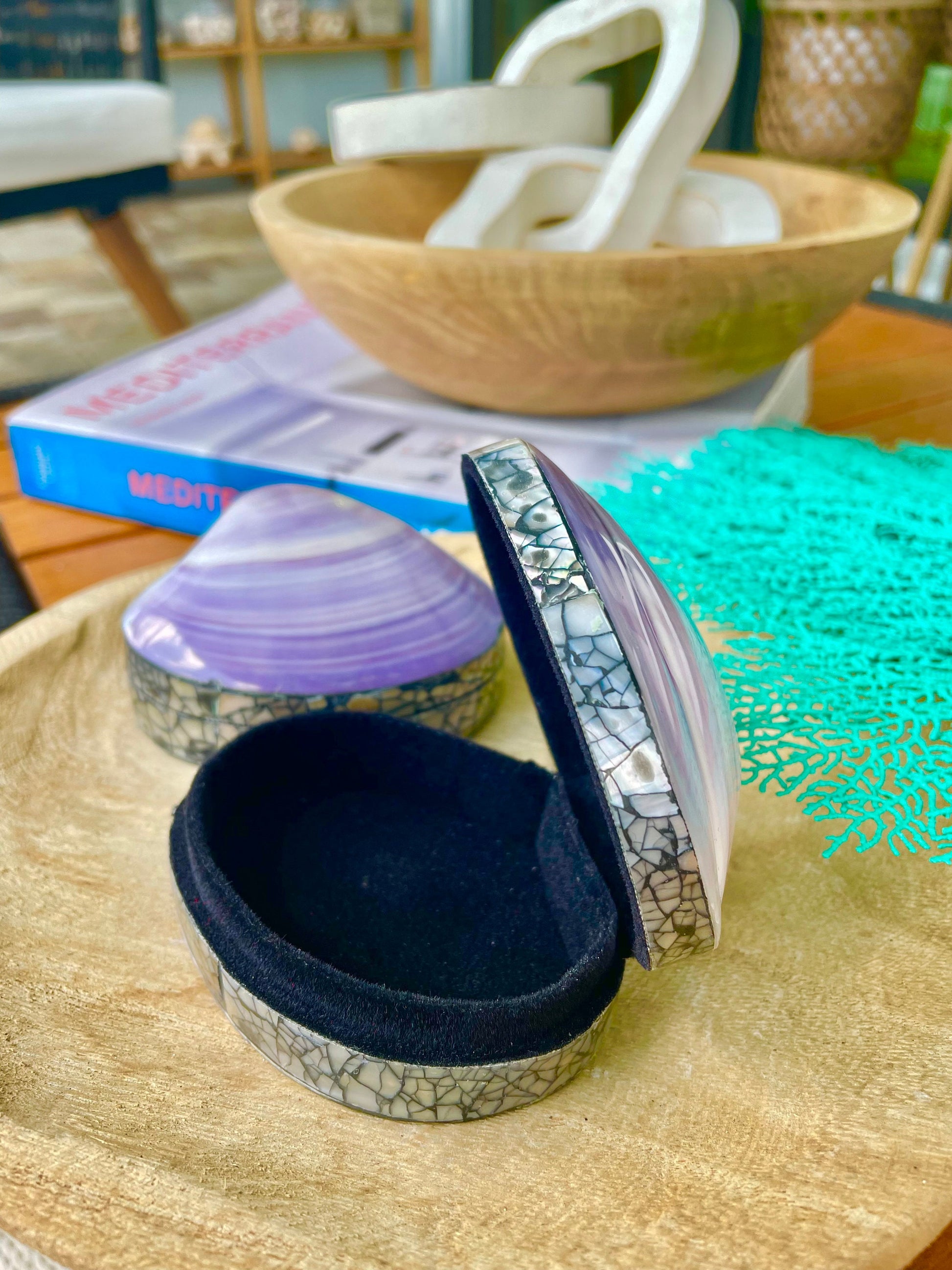 Natural Dried Real Sea Fans Painted AQUA 8-20" You Choose Size Ocean Reef Decoration Natural Beach Coastal Décor Display