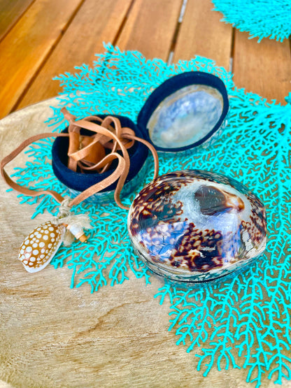 Natural Dried Real Sea Fans Painted AQUA 8-20" You Choose Size Ocean Reef Decoration Natural Beach Coastal Décor Display