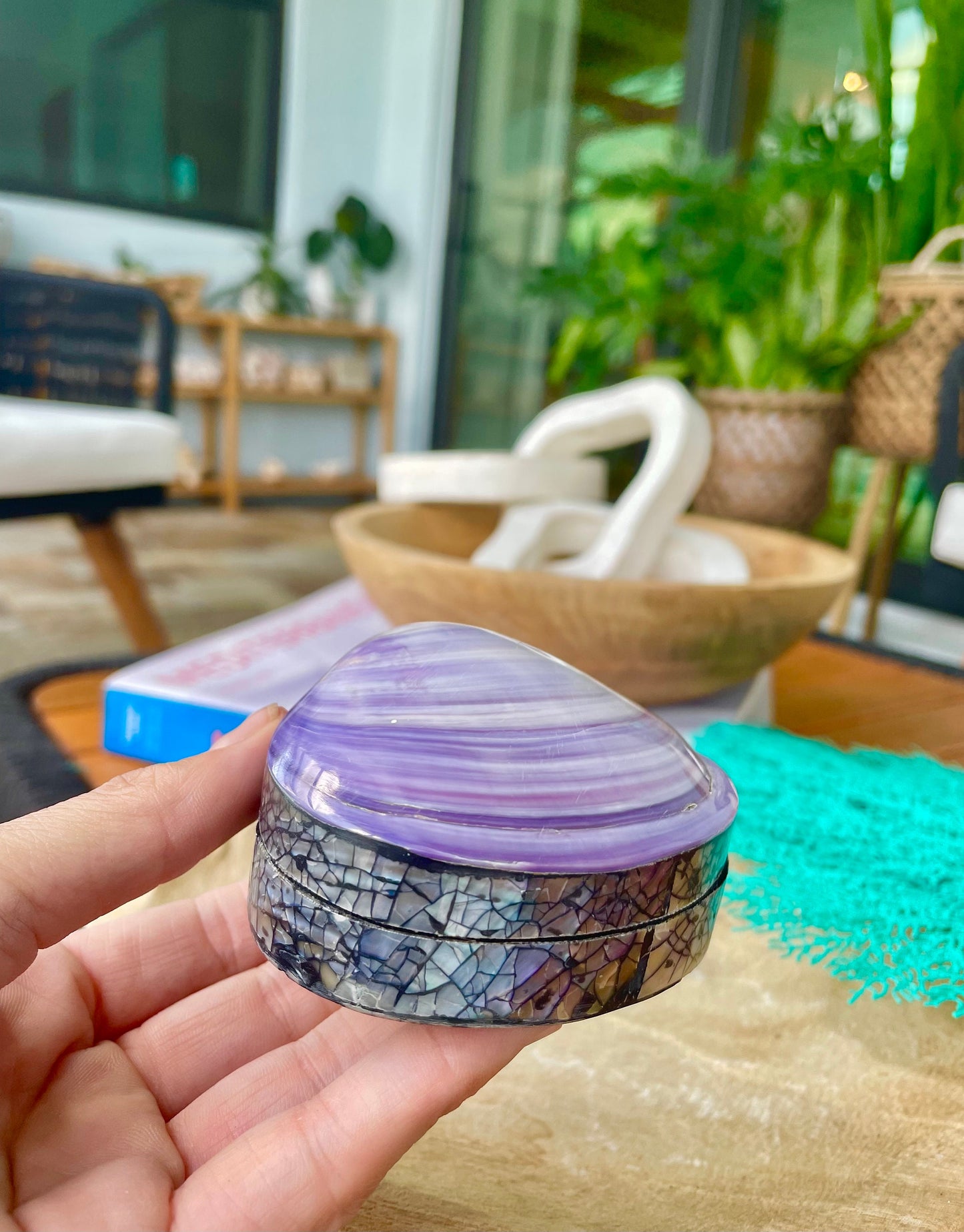 Coastal Gift Box Purple Clam 3.5" Mermaid Shell Irredescent Seashell Jewelry