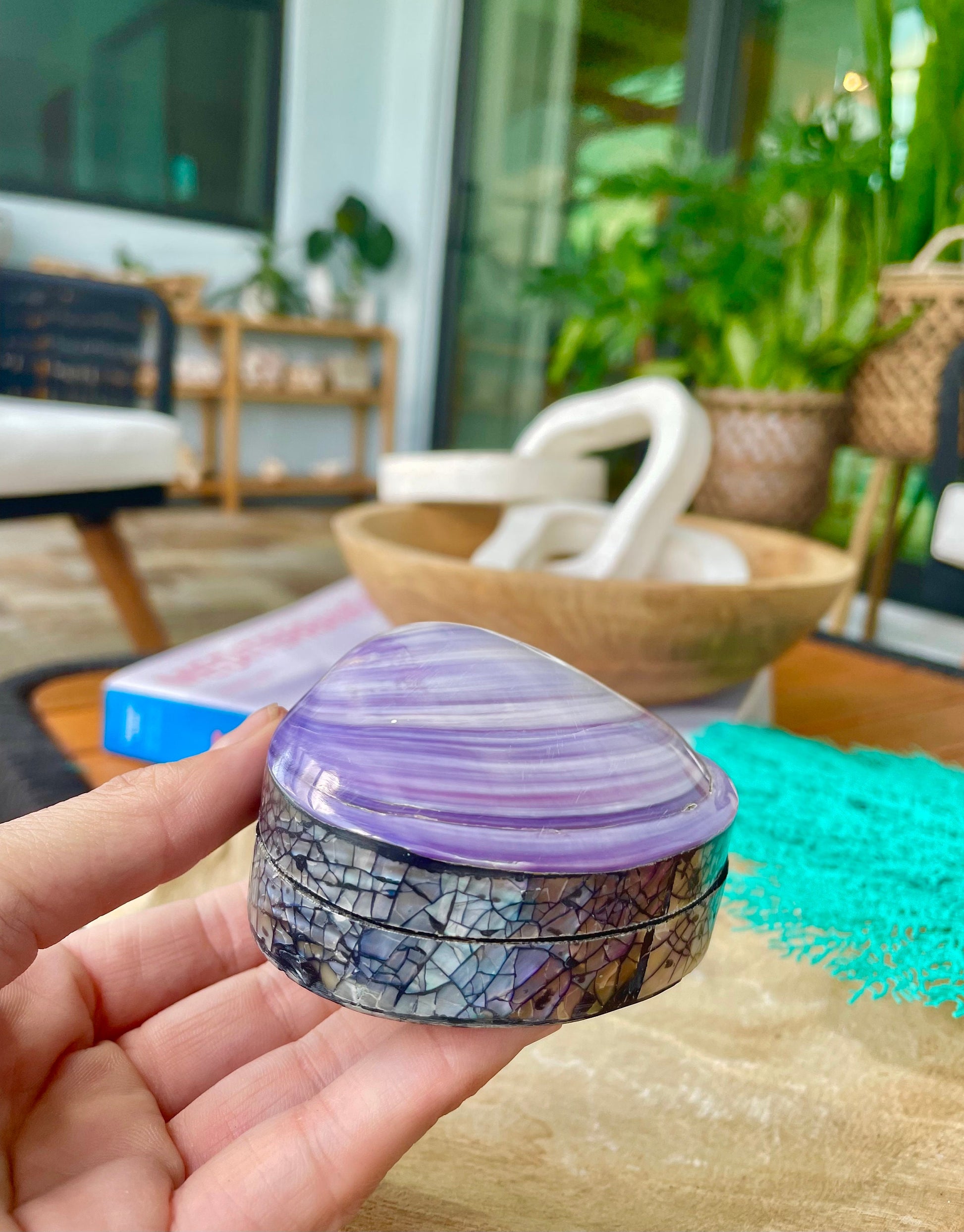 Coastal Gift Box Purple Clam 3.5" Mermaid Shell Irredescent Seashell Jewelry