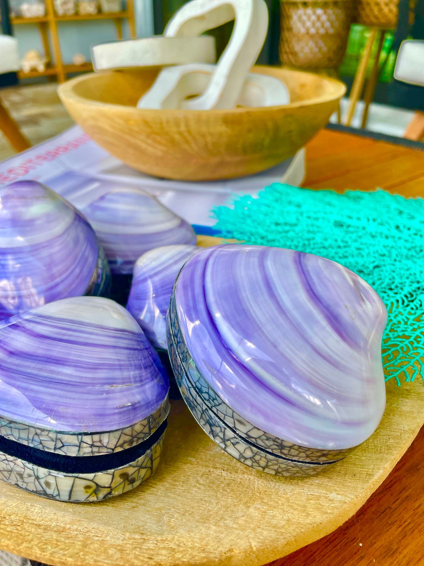 Coastal Gift Box Purple Clam 3.5" Mermaid Shell Irredescent Seashell Jewelry