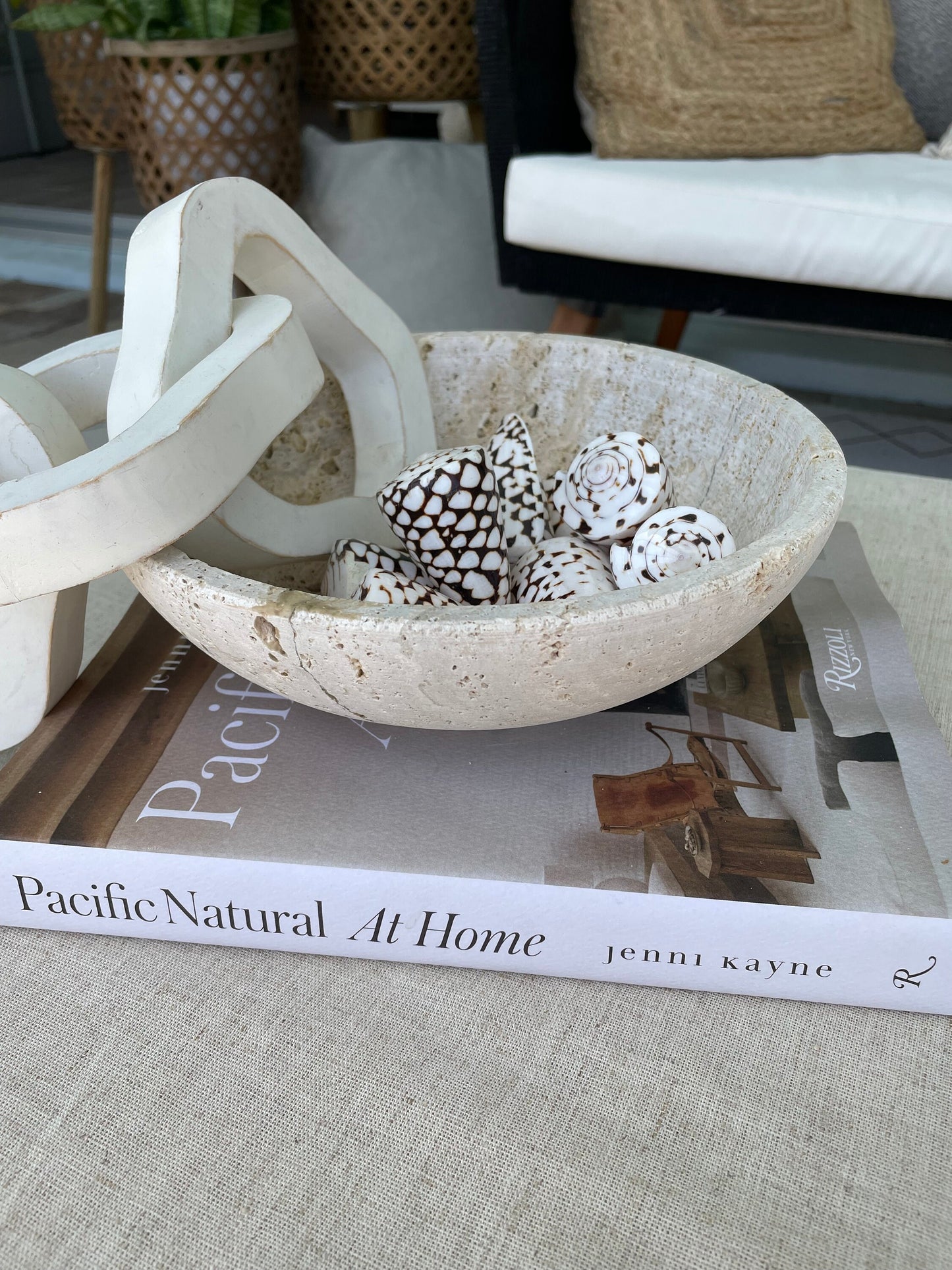 MARBLE CONE SHELLS *All Sizes* Natural White Brown Spots Conus Marmoreus Modern Seashell